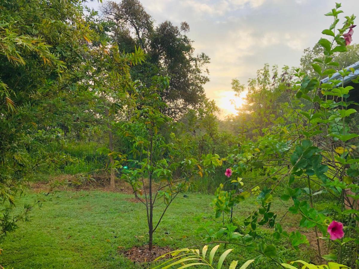Sungreen Cottage Sigiriya Ngoại thất bức ảnh