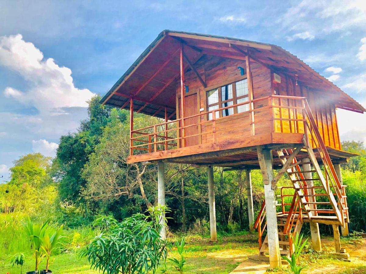 Sungreen Cottage Sigiriya Ngoại thất bức ảnh