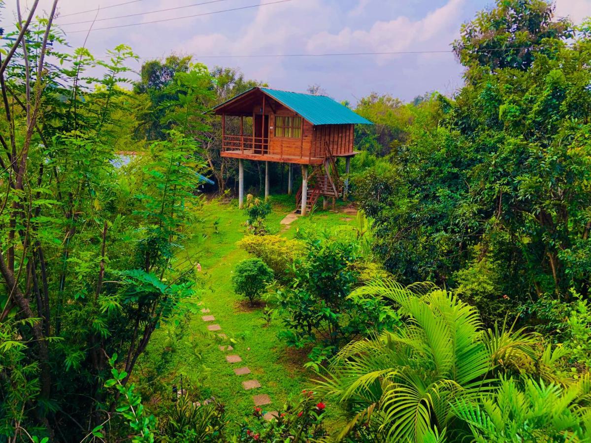 Sungreen Cottage Sigiriya Ngoại thất bức ảnh