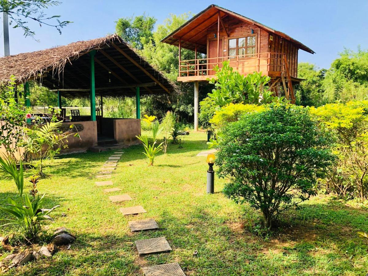 Sungreen Cottage Sigiriya Ngoại thất bức ảnh