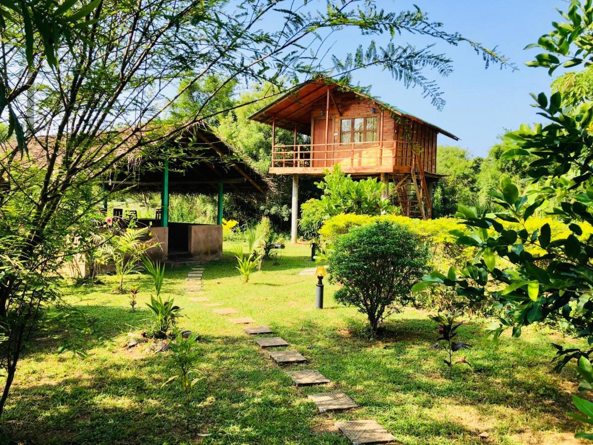 Sungreen Cottage Sigiriya Ngoại thất bức ảnh
