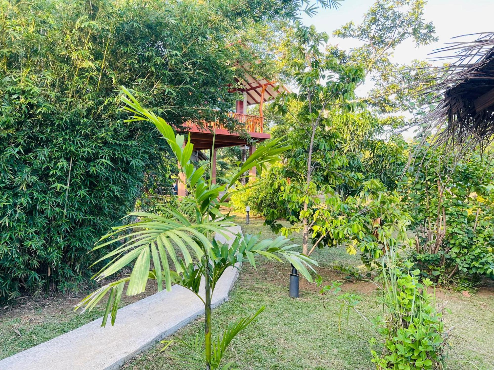 Sungreen Cottage Sigiriya Ngoại thất bức ảnh